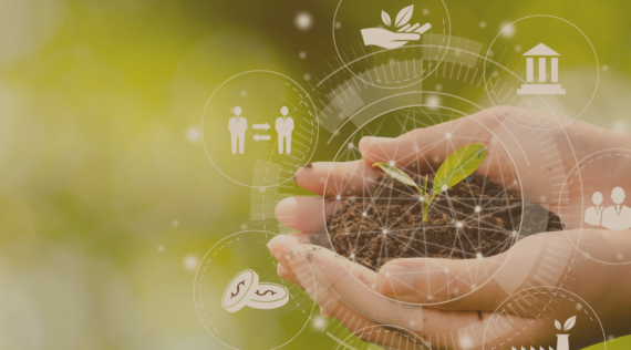 Do No Significant Harm (DNSH) Certification