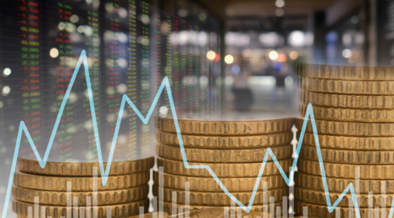 Economic and financial plan advisory