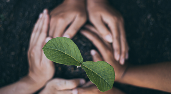 Minimum Environmental Criteria (CAM)