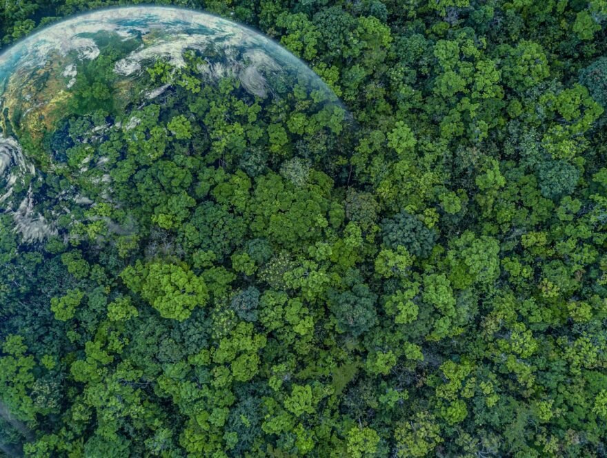 UNI/PdR 107:2021- Protected Environment - Guidelines for the prevention of damage to the environment